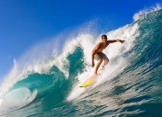 开云世界杯2026-中场魔术师卡马文加全面爆发，新西兰式战术体系如何彻底压制马赛