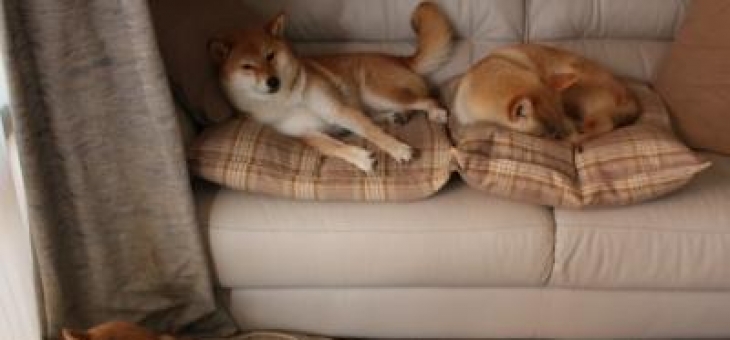 开云官网-牙买加稳稳拿下巴黎奥运门票，门迪成为关键先生