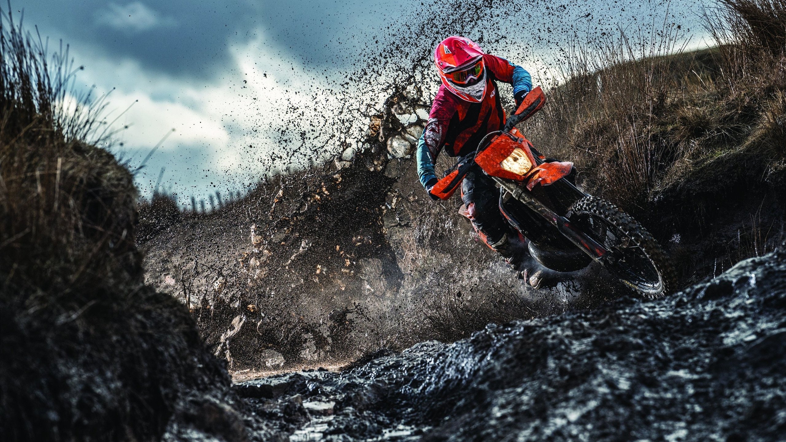 东决关键战之夜，塔图姆大场面先生